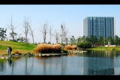 同濟大學2014年各專業(yè)錄取分數(shù)線(在上海)