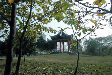 南京投資學(xué)專業(yè)比較好的4所大學(xué)推薦