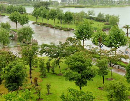 東華大學(xué)校園圖片_校園圖片8