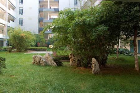 南京郵電大學(xué)校園圖片_大學(xué)圖片8