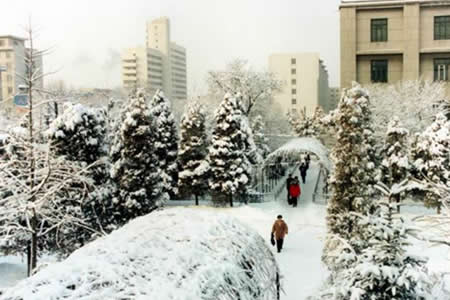 遼寧石油化工大學(xué)校園圖片_校園圖片2