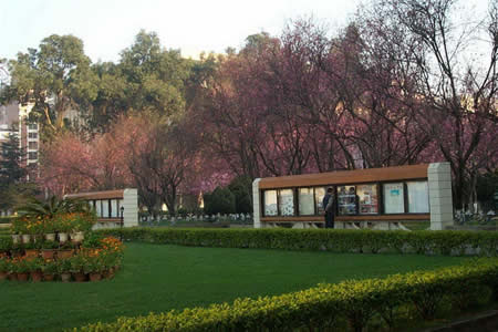 云南財(cái)經(jīng)大學(xué)校園圖片_大學(xué)圖片6