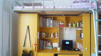 中南財(cái)經(jīng)政法大學(xué)宿舍圖片_寢室圖片17