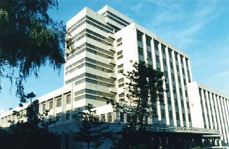 東北林業(yè)大學(xué)校園圖片_校園圖片4