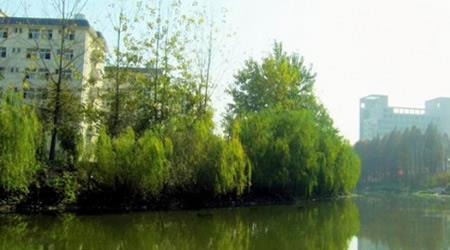 湖北工業(yè)大學(xué)校園圖片_校園圖片7