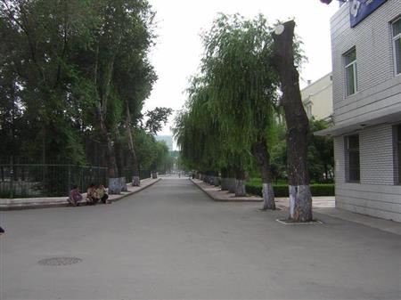 黑龍江中醫(yī)藥大學校園圖片_校園圖片4