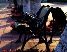 2015志愿填報:如何選擇海南大學(xué)？