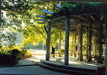 中國勞動關(guān)系學(xué)院校園圖片_大學(xué)圖片3