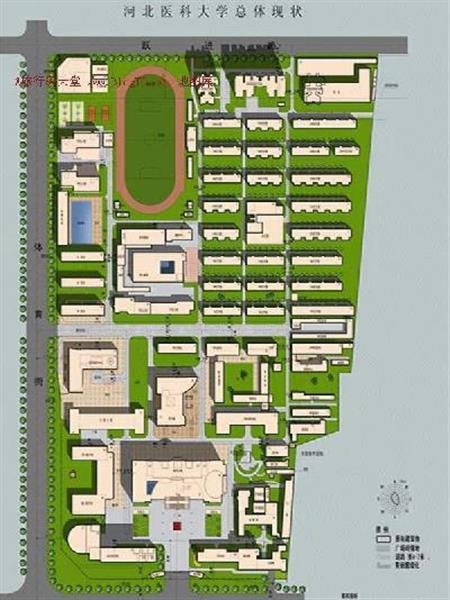 河北醫(yī)科大學(xué)校園圖片_大學(xué)圖片5