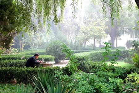 衡水學(xué)院校園圖片_大學(xué)圖片6