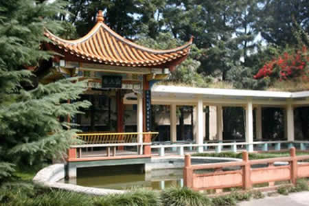 西昌學(xué)院校園圖片_大學(xué)圖片5
