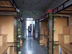 武漢東湖學(xué)院宿舍圖片_寢室圖片11