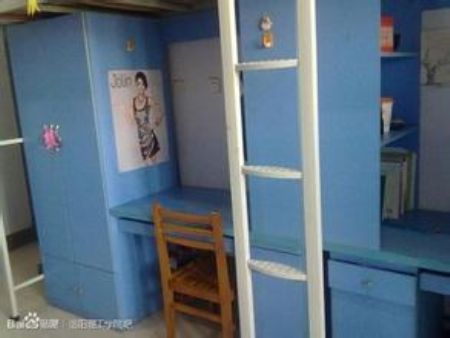 洛陽(yáng)理工學(xué)院宿舍圖片_寢室圖片10