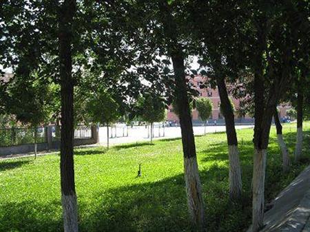 新疆交通職業(yè)技術(shù)學(xué)院校園圖片_校園圖片2