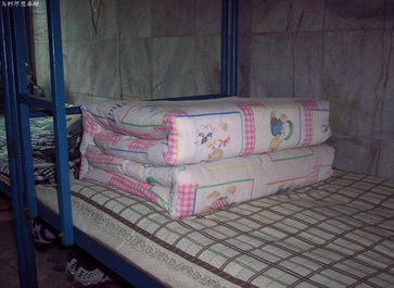荊楚理工學(xué)院宿舍圖片_寢室圖片16