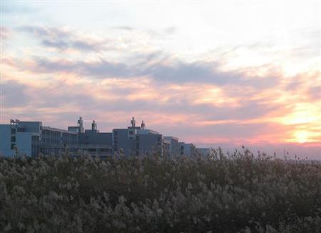 河北工業(yè)大學(xué)校園圖片_大學(xué)圖片5