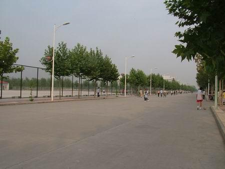 河北經(jīng)貿(mào)大學(xué)校園圖片_大學(xué)圖片2