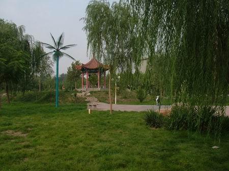 河北經(jīng)貿(mào)大學(xué)校園圖片_校園圖片5