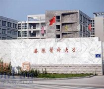 2017哪些安徽醫(yī)科本科大學(xué)好？