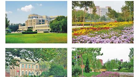天津科技大學(xué)校園圖片_大學(xué)圖片2