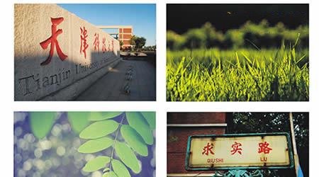 天津科技大學(xué)校園圖片_大學(xué)圖片8