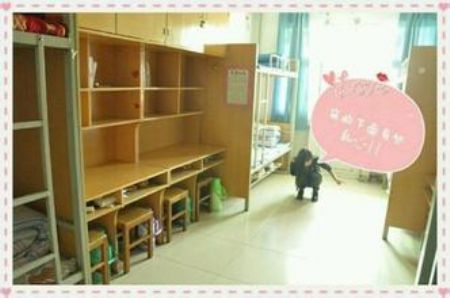 河南牧業(yè)經濟學院宿舍圖片_寢室圖片9