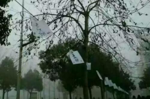 奇葩求愛信:網(wǎng)友稱十里魂幡