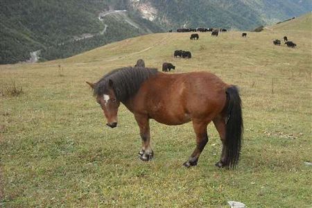 2020年浙江政法類一段批各大學(xué)分?jǐn)?shù)線多少？