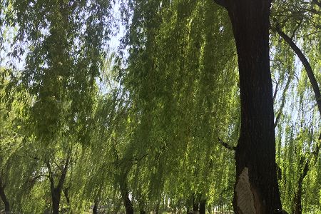 2017天津城市職院各省文科分?jǐn)?shù)線多少？