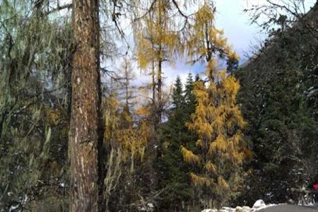  2019年湖南高考分?jǐn)?shù)線公布 文本495理本414（含藝體）