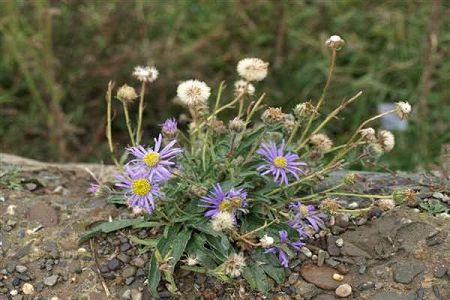 2017包頭鐵道職業(yè)學(xué)院各省理科分?jǐn)?shù)線多少？