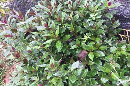 2019物業(yè)管理專業(yè)選什么大學(xué)好？